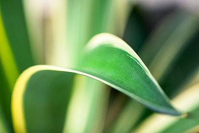 日系经典MMORPG《星界神话》Steam版上线 免费游玩